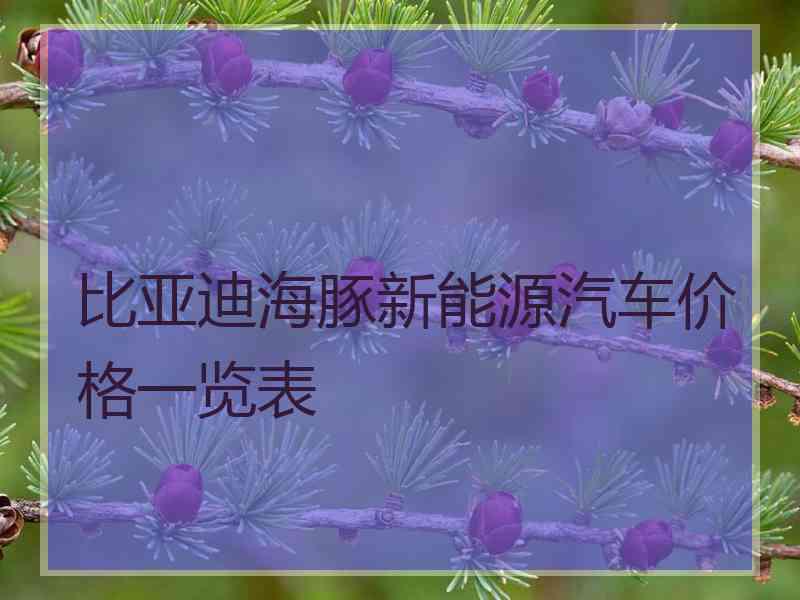 比亚迪海豚新能源汽车价格一览表