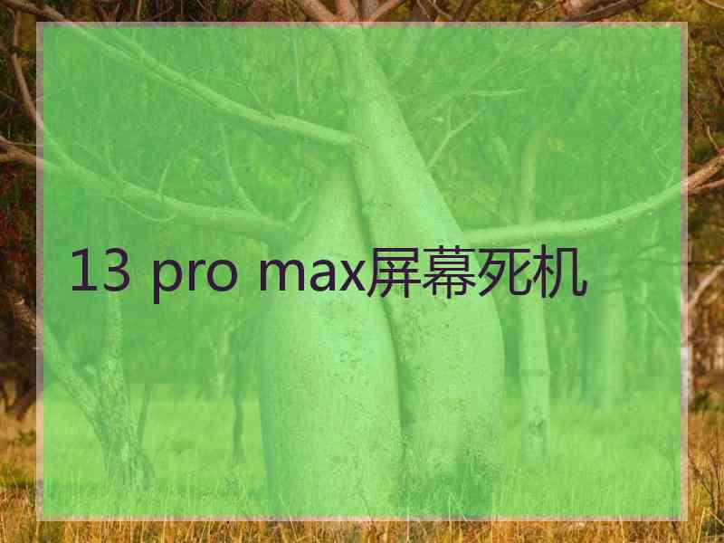 13 pro max屏幕死机