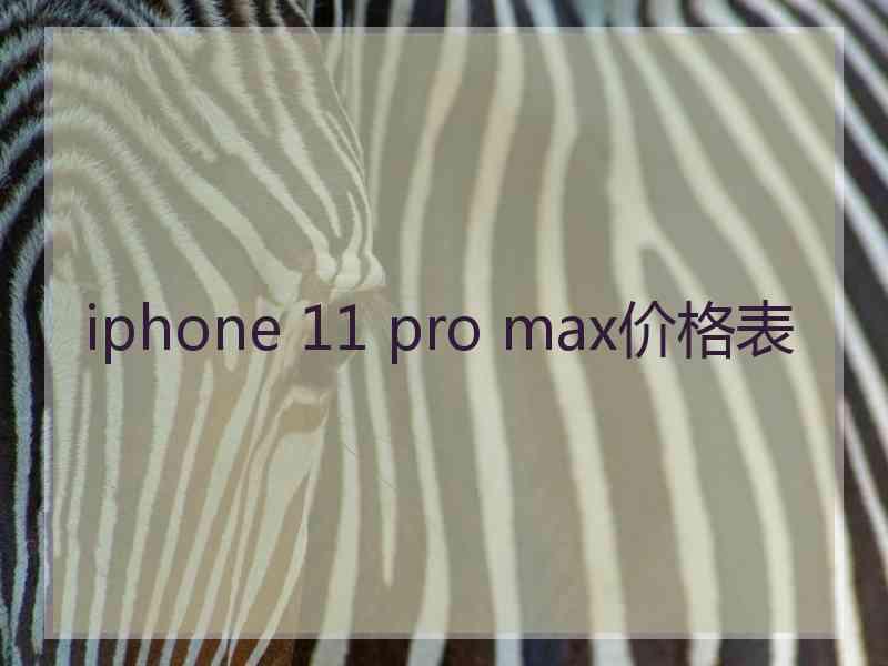 iphone 11 pro max价格表