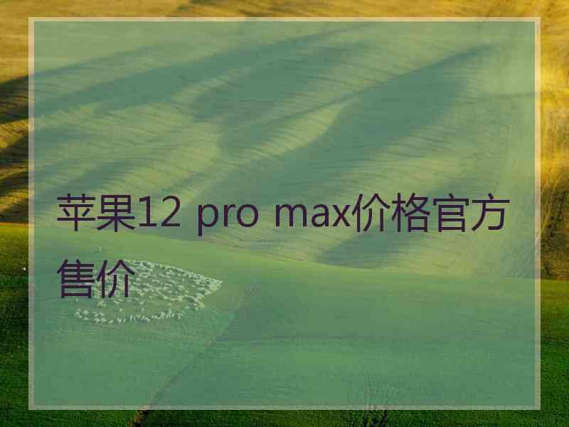 苹果12 pro max价格官方售价