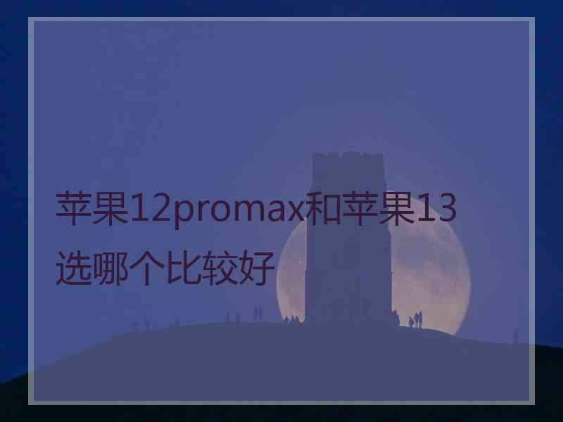 苹果12promax和苹果13选哪个比较好