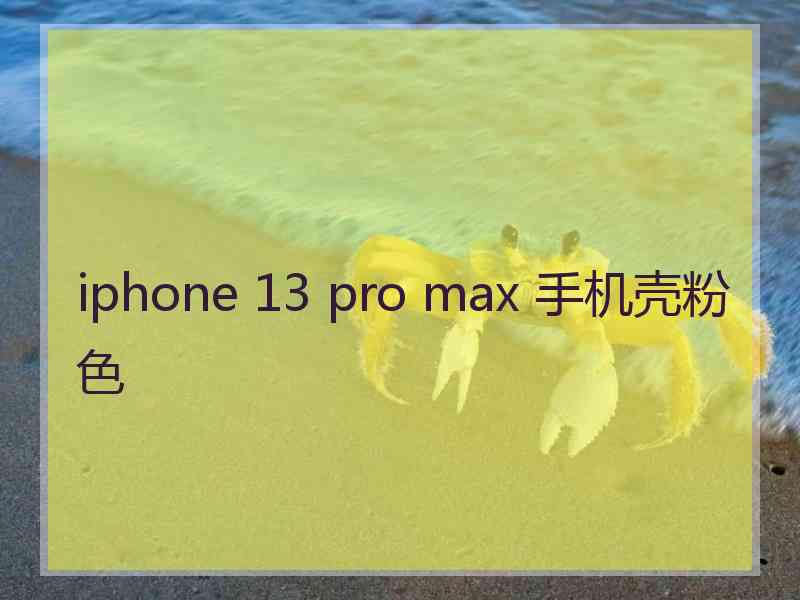 iphone 13 pro max 手机壳粉色