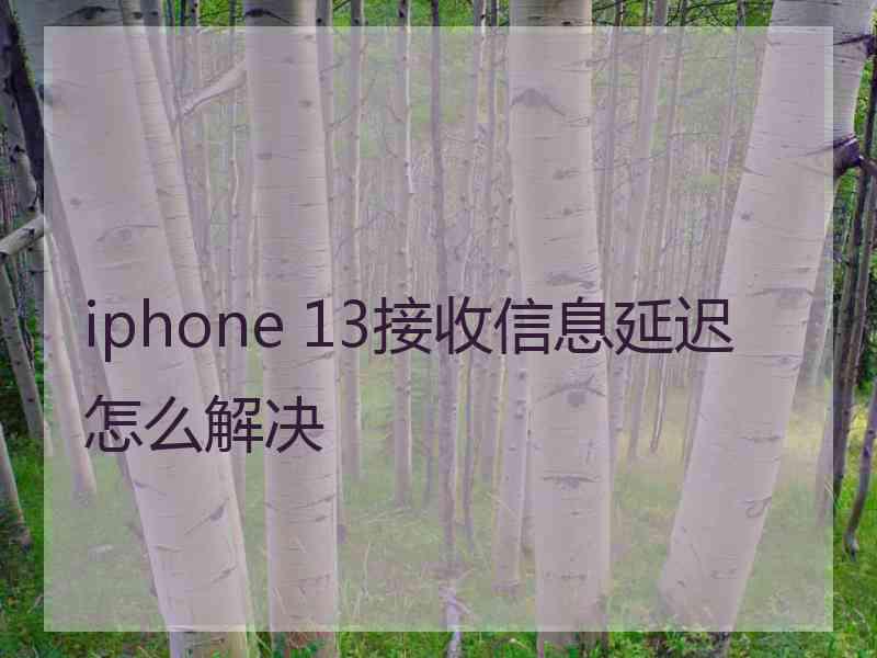 iphone 13接收信息延迟怎么解决