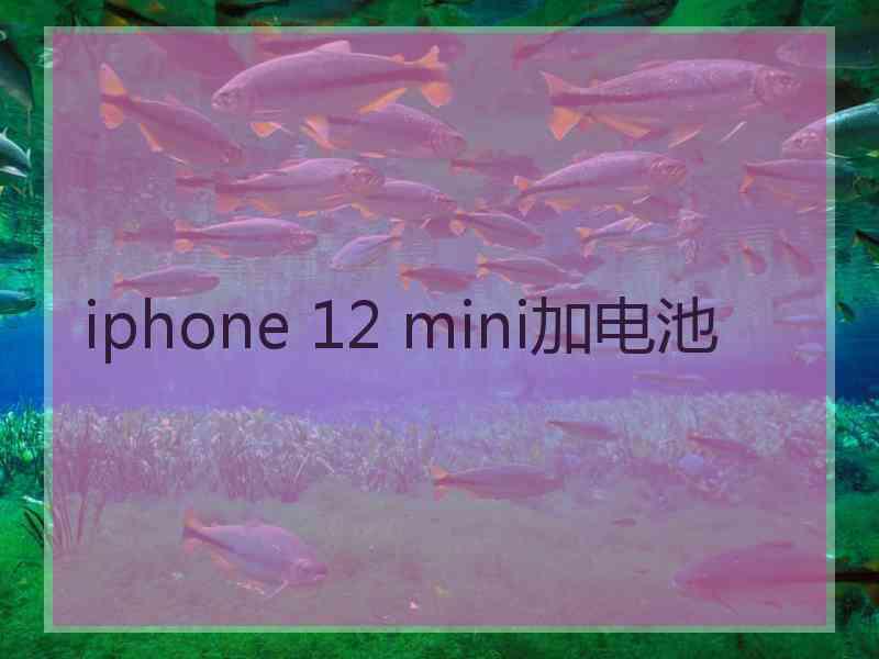 iphone 12 mini加电池