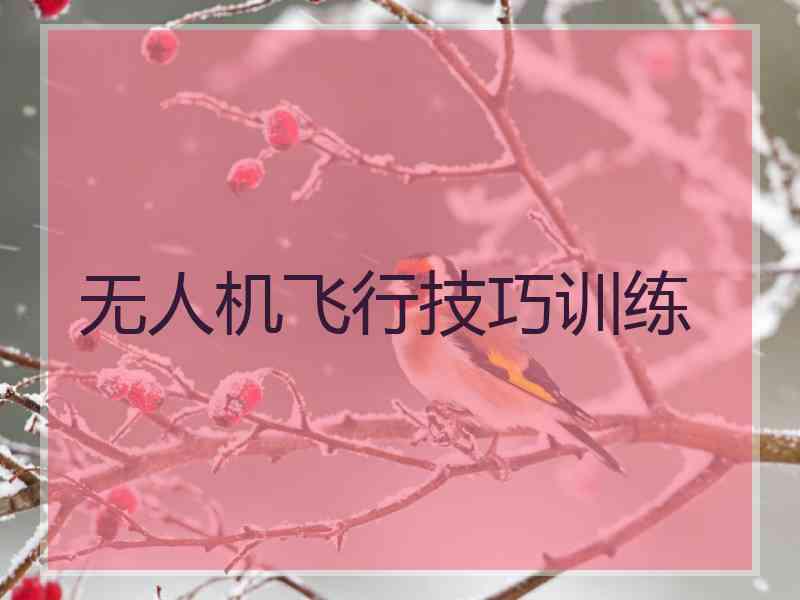 无人机飞行技巧训练