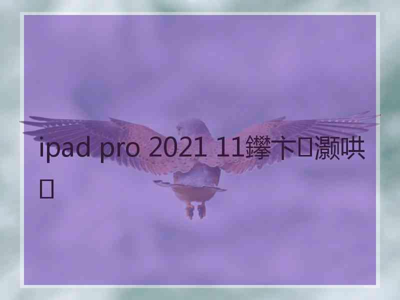 ipad pro 2021 11鑻卞灏哄