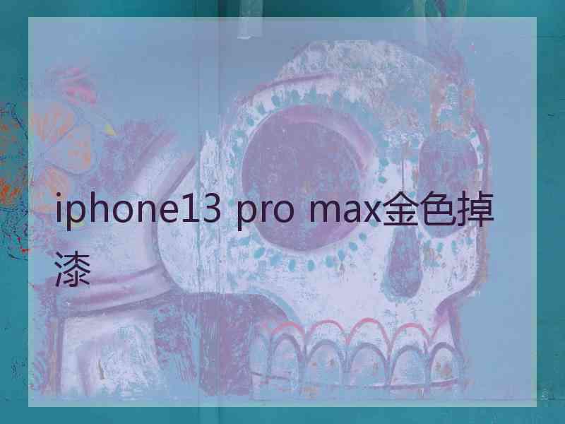 iphone13 pro max金色掉漆