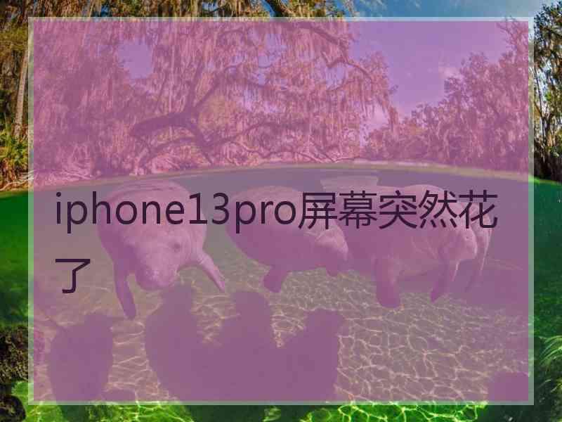 iphone13pro屏幕突然花了