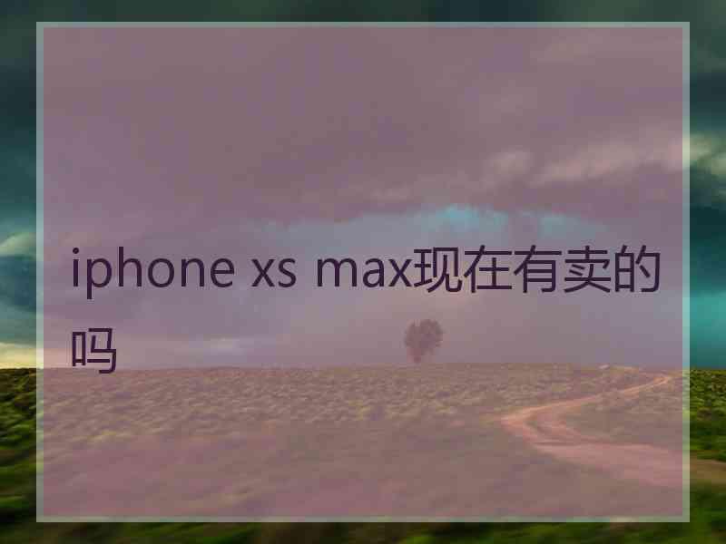 iphone xs max现在有卖的吗