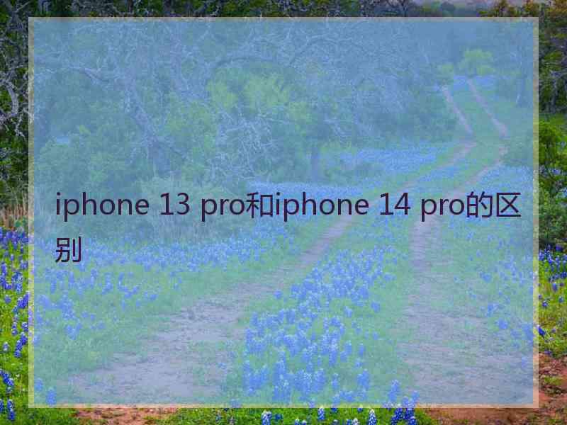 iphone 13 pro和iphone 14 pro的区别