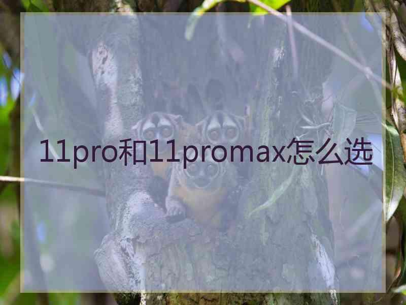 11pro和11promax怎么选