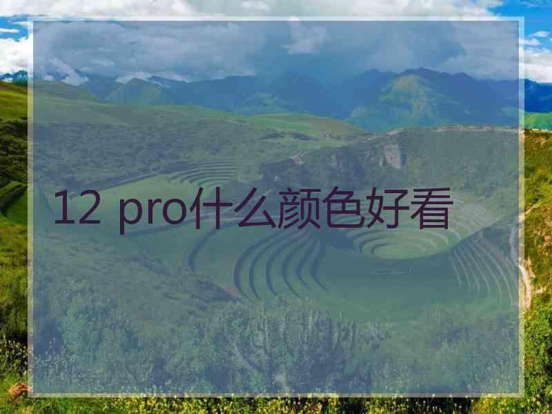 12 pro什么颜色好看