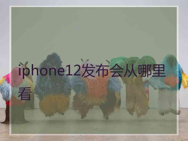 iphone12发布会从哪里看