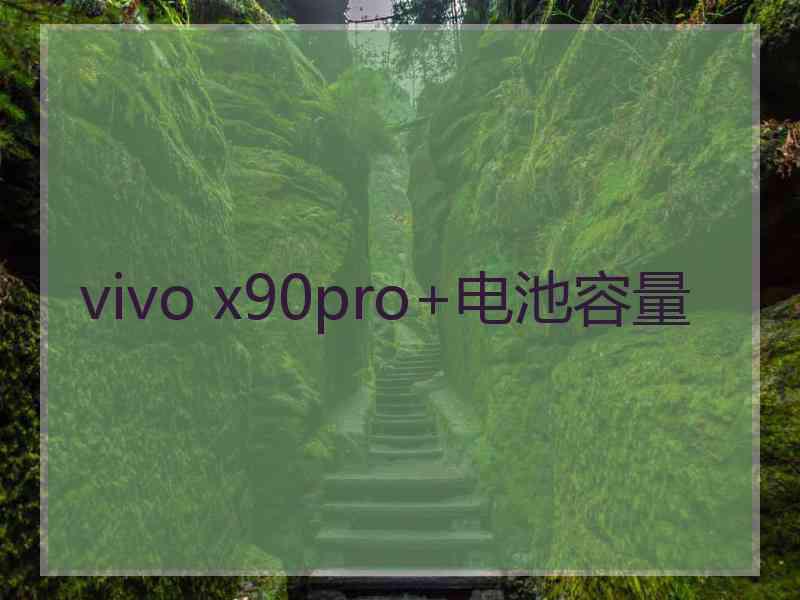 vivo x90pro+电池容量