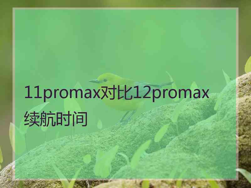 11promax对比12promax续航时间