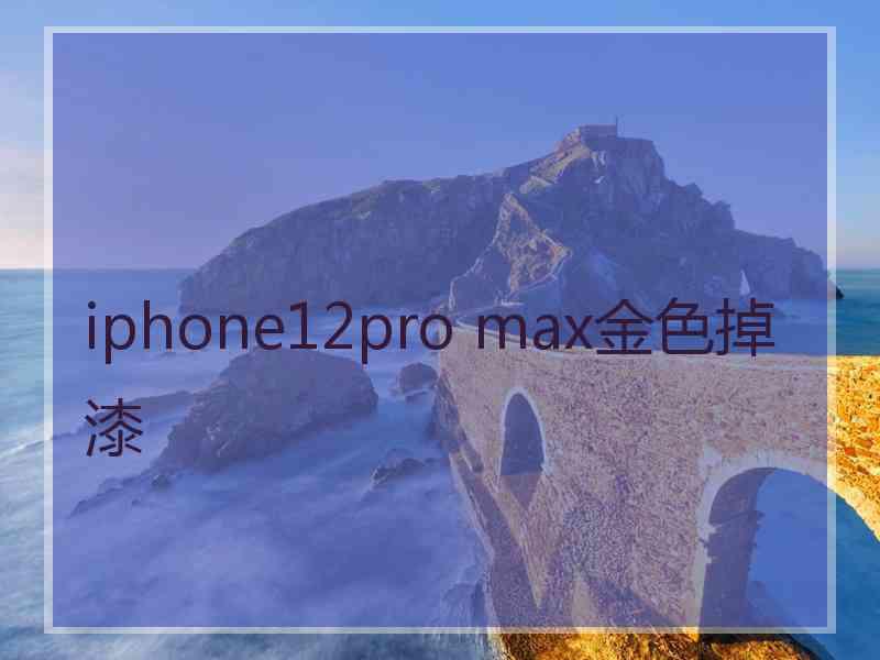 iphone12pro max金色掉漆