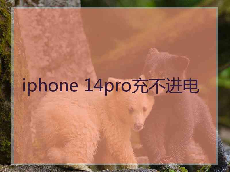 iphone 14pro充不进电