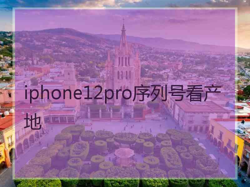 iphone12pro序列号看产地