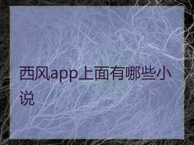 西风app上面有哪些小说