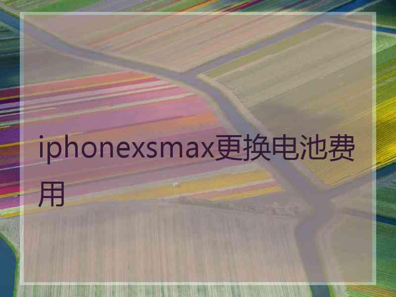 iphonexsmax更换电池费用