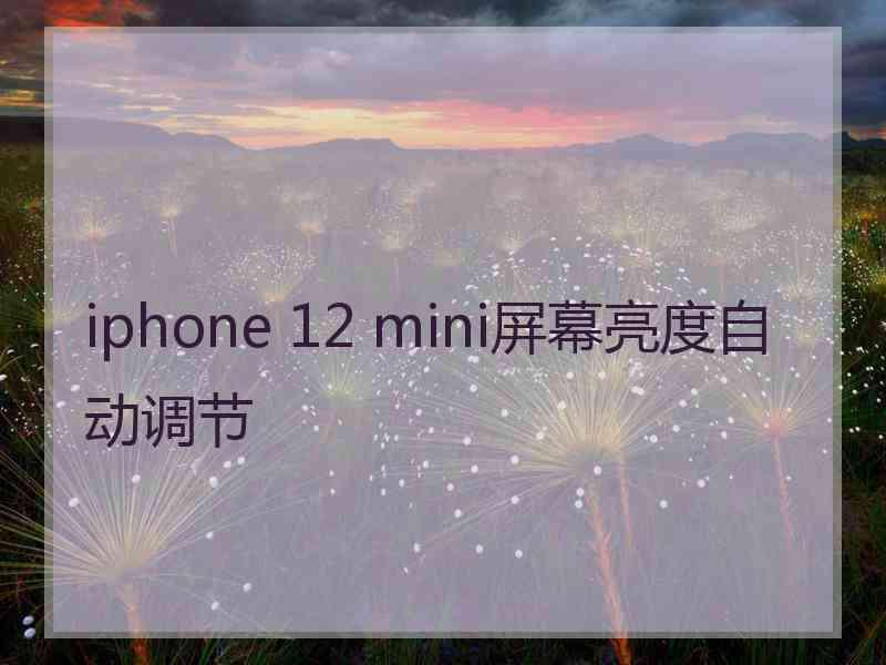 iphone 12 mini屏幕亮度自动调节