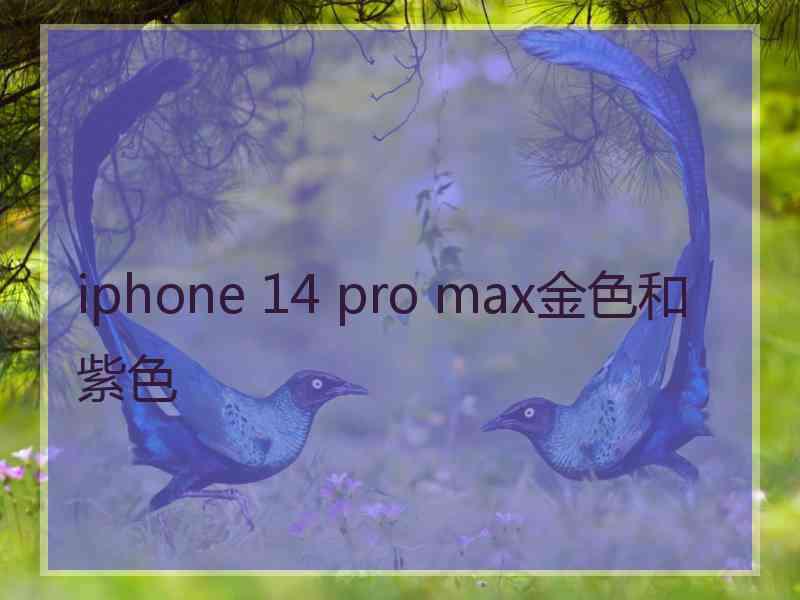 iphone 14 pro max金色和紫色