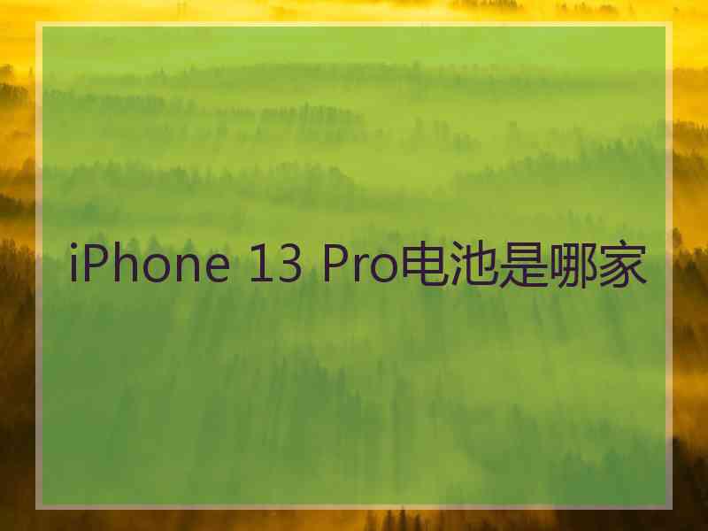 iPhone 13 Pro电池是哪家