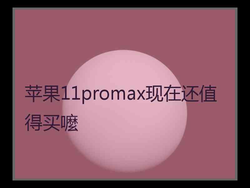 苹果11promax现在还值得买嚒