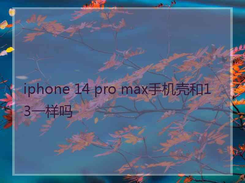 iphone 14 pro max手机壳和13一样吗