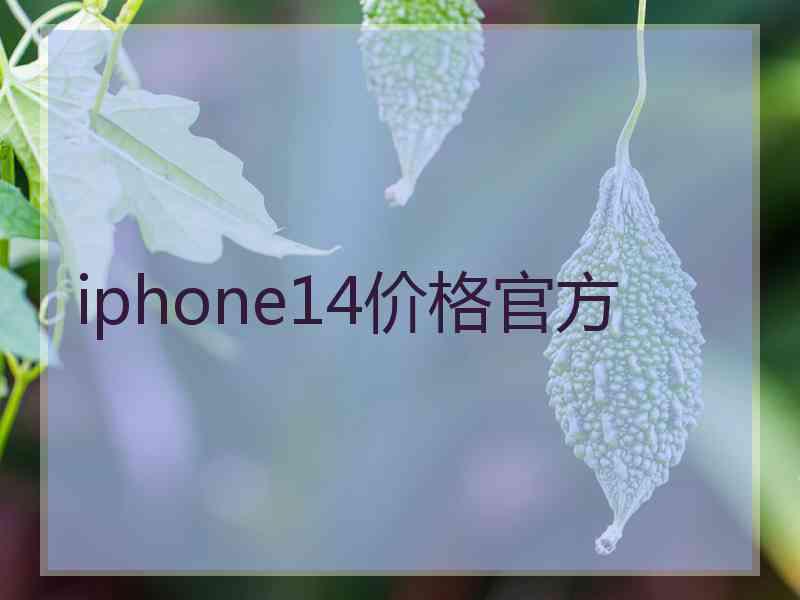 iphone14价格官方