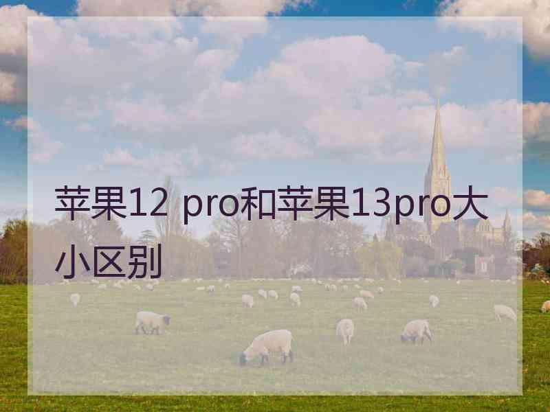 苹果12 pro和苹果13pro大小区别