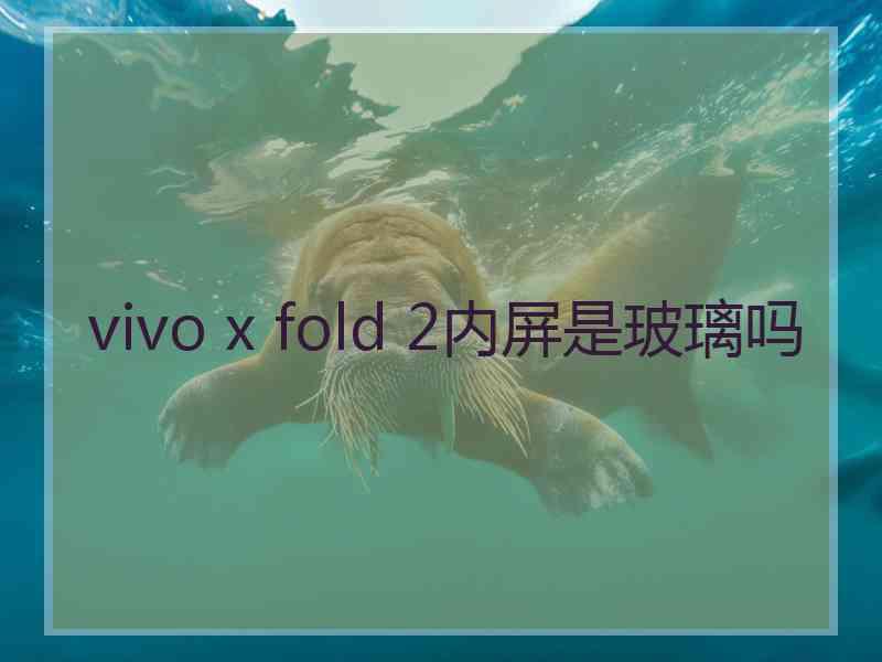 vivo x fold 2内屏是玻璃吗