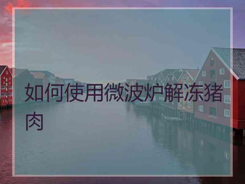 如何使用微波炉解冻猪肉