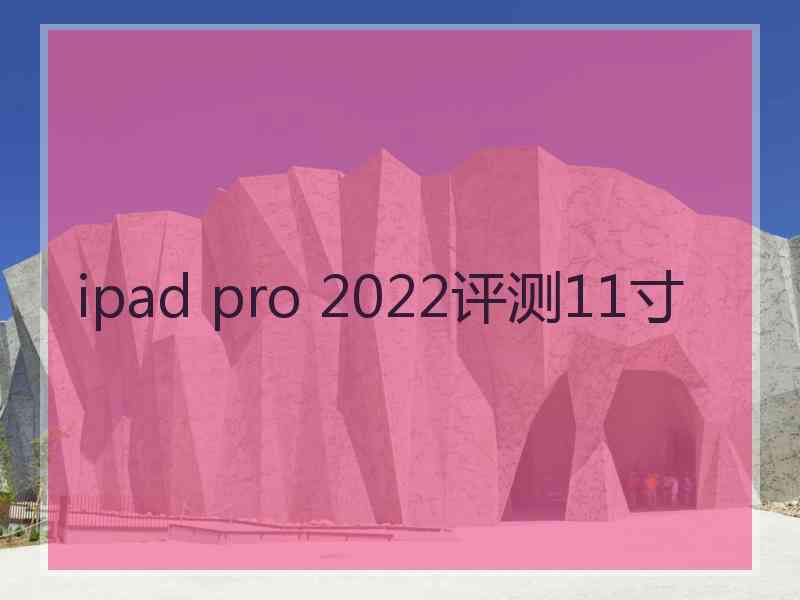 ipad pro 2022评测11寸