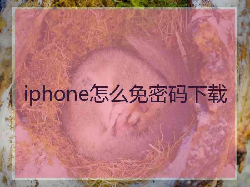 iphone怎么免密码下载