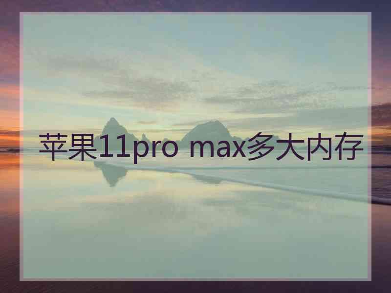 苹果11pro max多大内存