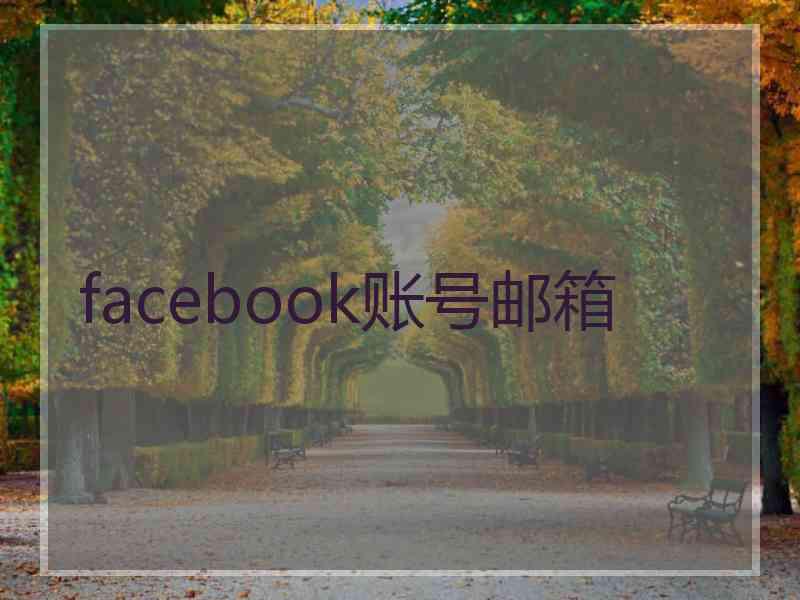 facebook账号邮箱