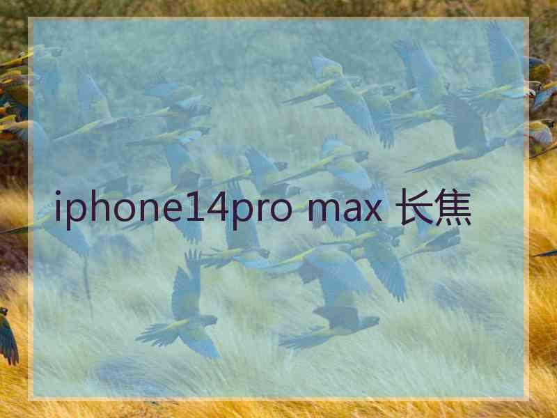 iphone14pro max 长焦