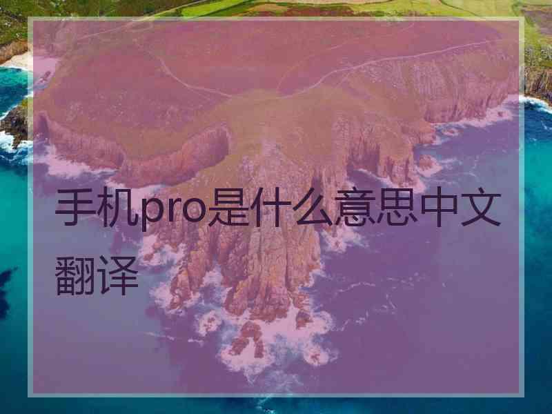 手机pro是什么意思中文翻译