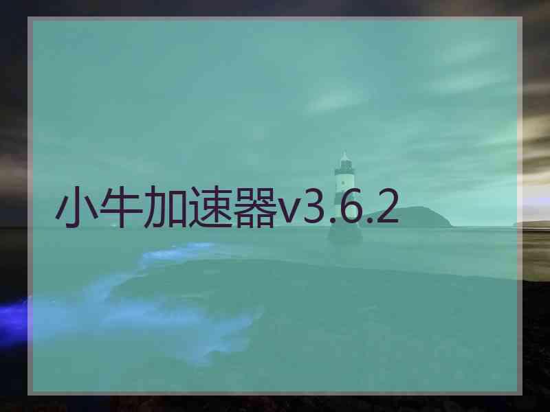 小牛加速器v3.6.2