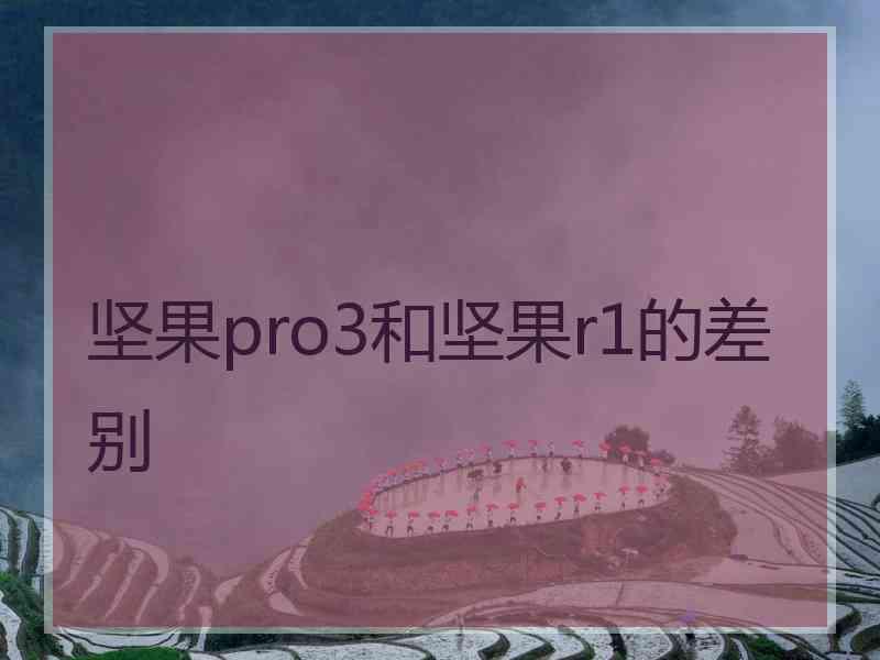 坚果pro3和坚果r1的差别