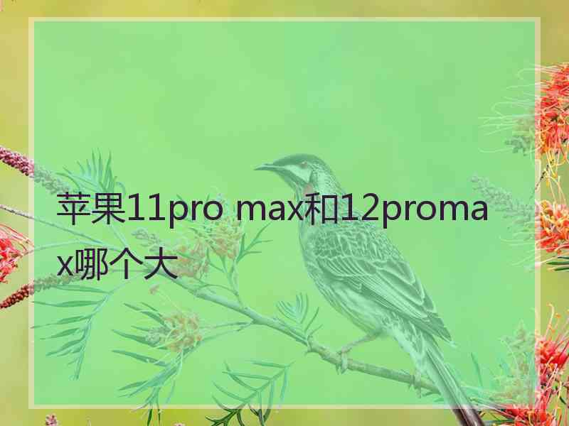 苹果11pro max和12promax哪个大