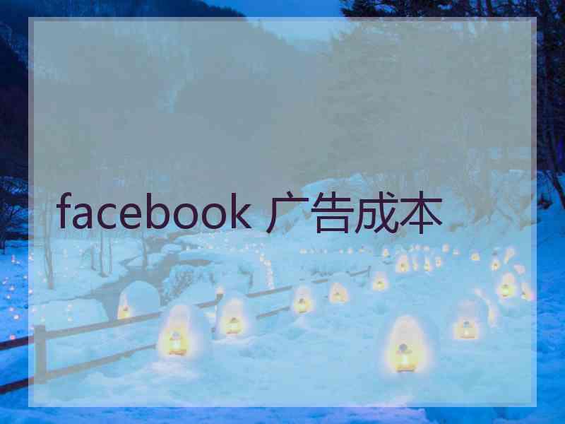 facebook 广告成本