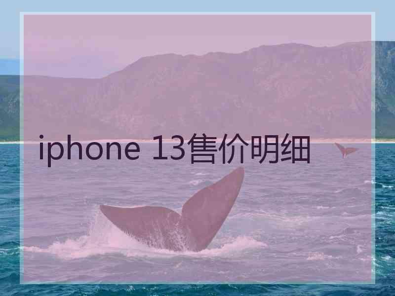 iphone 13售价明细