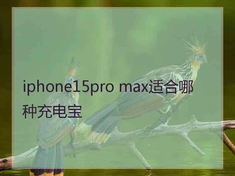 iphone15pro max适合哪种充电宝