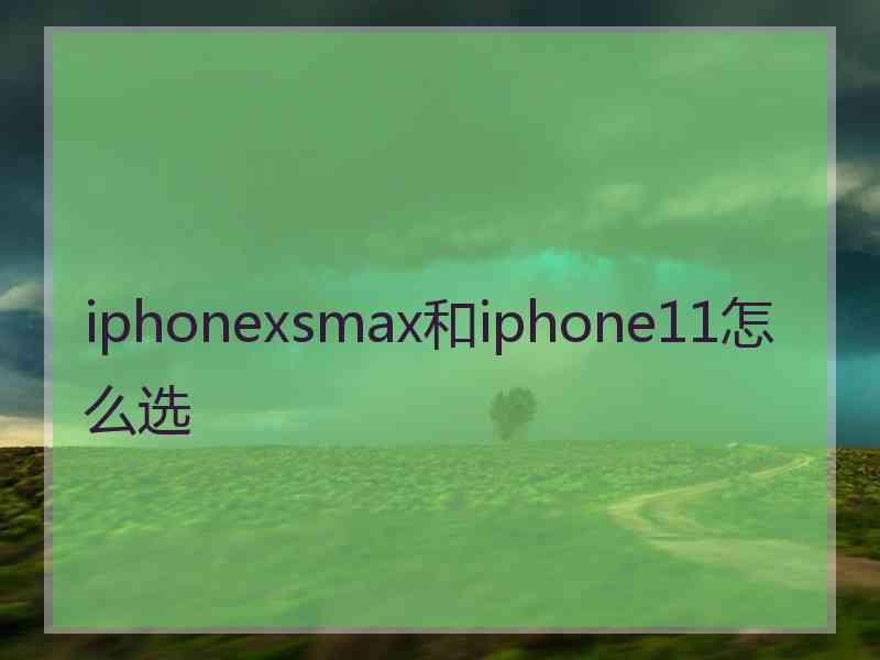 iphonexsmax和iphone11怎么选