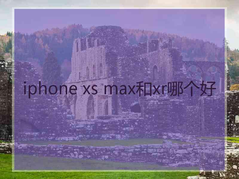 iphone xs max和xr哪个好