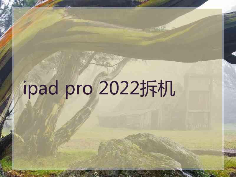 ipad pro 2022拆机