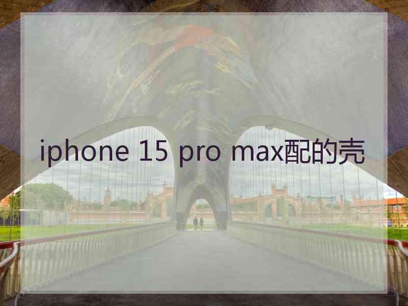 iphone 15 pro max配的壳