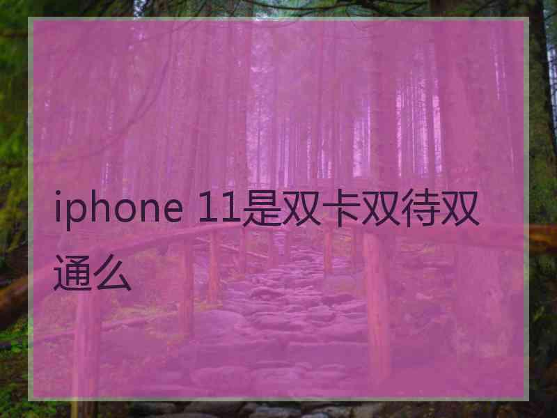 iphone 11是双卡双待双通么